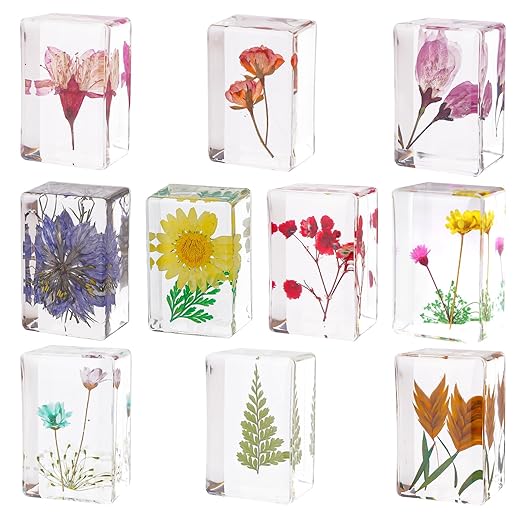 JINLISPIN 10 Pcs Flower in Resin Specimen Pressed Flower Paperweight Flower in Resin Specimen Collection for Desk Real Flowers Samples Paper Weights for Kids Scientific Educational Display Supplies