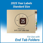 2025 Year Stickers, Doctor Stuff 2025 Chart Stickers, Brown Color Coded, Digi Color Style, USA Made Year Labels for End Tab File Folders, 500/Roll, 1 Roll, 3/4" x 1-1/2"