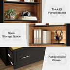 Tribesigns Way to Origin 2-Drawer Vertical File Cabinet for Letter Size, Moder Filing Cabinet with 5-Tier Bookshelf, Large Printer Stand with Open Storage Shelves for Home Office (Black)