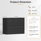 Bestoo 2-Drawer Lateral File Cabinet with Lock, Metal Filing Cabinet for Home Office, Lateral Filing Storage Cabinets, Fits File Folders, Letter/Legal/F4/A4 Sizes, Assembly Required (Black)