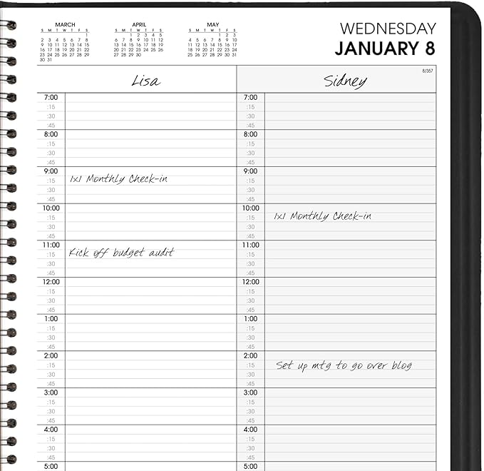 AT-A-GLANCE 2025 Appointment Book Planner, Daily, Two Person Group Planner, 8" x 11", Large, Quarter-Hourly, Black (702220525)