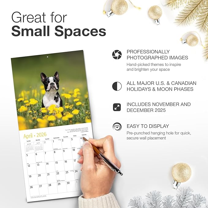 RED EMBER Boston Terriers 2026 Mini Wall Calendar 12 Month | 7" x 14" Open | Thick & Sturdy Paper | Holiday Gift | Cute Puppy Dog Calendar 2026