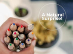 BSIRI Bark 7 Inch Colors Pencils Set Assorted-Stick Twig of Wood Pencils Outdoor Colored Wooden Pencil Tree for Child Camping Decorations Color Wood, Color Pencils for Adult Wedding Decorations