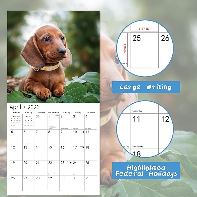 2026 Wall Calendar,Calendar 2026, November 2025 - December 2026, Wall Calendar Dachshund, 12" x 24" Opened,Full Page Months Thick & Sturdy Paper for Gift Perfect Calendar Organizing & Planning