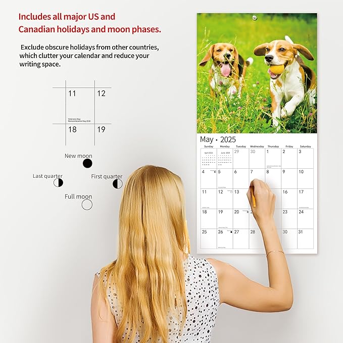2026 Wall Calendar,Calendar 2026, November 2025 - December 2026, Wall Calendar Beagles, 12" x 24" Opened,Full Page Months Thick & Sturdy Paper for Calendar Organizing & Planning