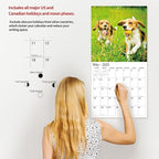 2026 Wall Calendar,Calendar 2026, November 2025 - December 2026, Wall Calendar Beagles, 12" x 24" Opened,Full Page Months Thick & Sturdy Paper for Calendar Organizing & Planning