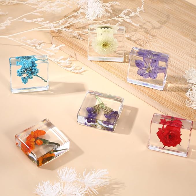 10Pcs Pressed Flower Paper Weights, Real Flower Resin Crafts, Pattern Weights,Paper Weights Decorative,Pressed Flower Ornament,Paper Weights for Office Desk,Specimen Collection for Science Educational
