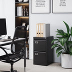 BYNSOE 2 Drawer File Cabinet with Lock Metal Vertical Filing Storage Cabinet Office Home Steel Vertical File Cabinets for A4 Legal/Letter Size Narrow File Cabinet Locked,Assembly Required