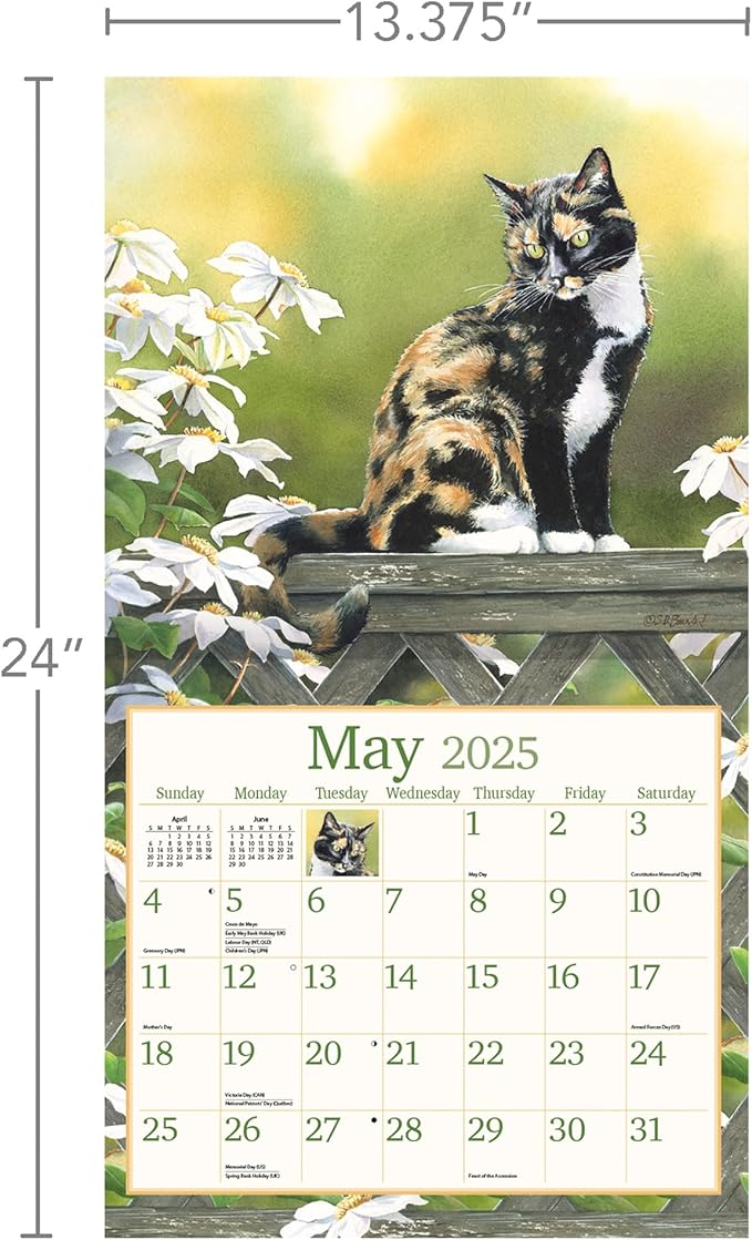 LANG Cats In The Country 2025 Wall Calendar (25991001899)
