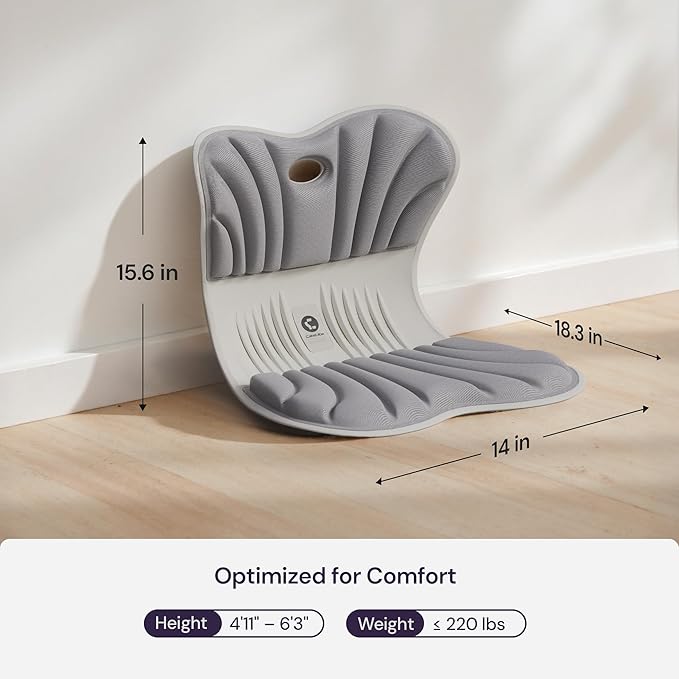CabeVibe CabSupport Ergonomic Lumbar Support Seat Cushion M1 Plus - Posture Correction Spineseat for Office Chair, Car, Home with Breathable Memory Foam