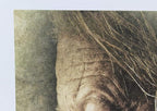 PPD Inkjet Photo Rag Fine Art Giclee Archival Radiant White Paper 11x17" 72lbs 270gsm x 25 Sheets (PPD079-25)
