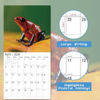 2026 Wall Calendar,Calendar 2026, November 2025 - December 2026, Wall Calendar Frog, 12" x 24" Opened,Full Page Months Thick & Sturdy Paper for Calendar Organizing & Planning