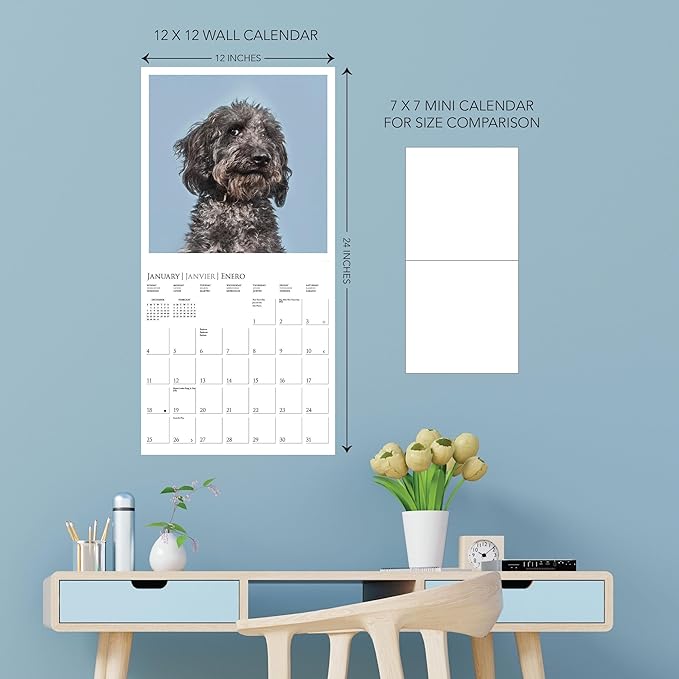 Graphique 2026 Judging Dogs Wall Calendar | 12” x 12” | Thick Paper | Home & Office Organizer | Large Monthly Grid | 3 Languages & Marked Holidays | 4 Month Preview Page for 2027