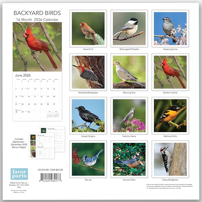 2026 Backyard Birds Hangable Wall Calendar Monthly Beautiful Wildlife Bird Photo Birder Watching Gift Forest Nature Photography Secret Santa Office (2026 Backyard Birds)