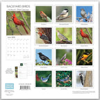 2026 Backyard Birds Hangable Wall Calendar Monthly Beautiful Wildlife Bird Photo Birder Watching Gift Forest Nature Photography Secret Santa Office (2026 Backyard Birds)