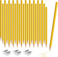 sqzrmdcg 36 PCS Yellow Colored Pencils, Pre-sharpened Professional Wooden Art Pencils Set for Artists Painting | Premium Drawing Sketching Supplies(Yellow)