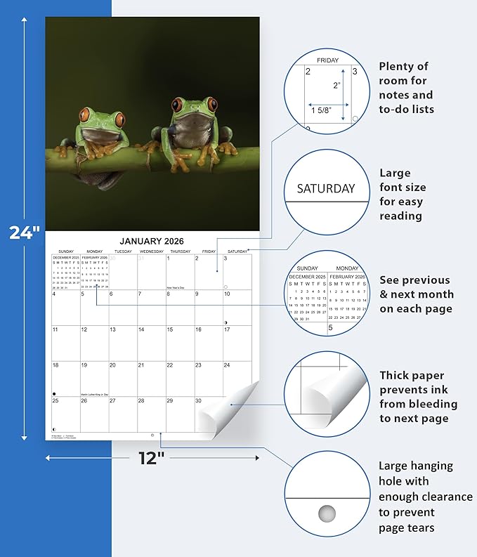 2026 Frogs Monthly Wall Calendar | Animals Calendar 2025-2026
