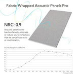 Olanglab Acoustic Panels 2 Pack, 48''x24'' Large Sound Panels, Fabric Wrapped Sound Proof Foam Panels for Walls, Sound Absorbing Panels for Recording Studio Acoustical Treatments (Light Grey)