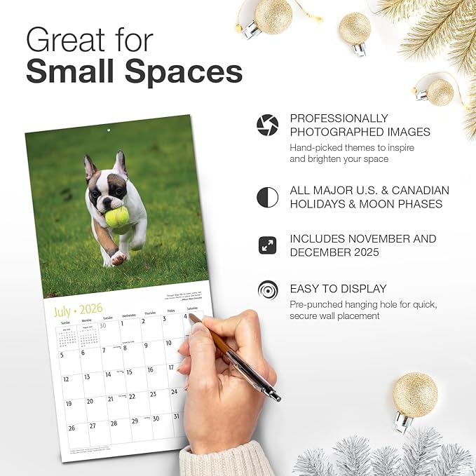 RED EMBER French Bulldog Puppies 2026 Mini Wall Calendar 12 Month | 7" x 14" Open | Thick & Sturdy Paper | Holiday Gift | Cute Frenchie Puppy Dog Calendar 2026