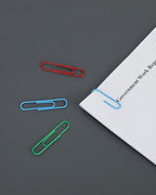PAPERPAL Paperclips for Office School & Personal Use, Duo Size Vinyl Coated Paper Clip (2" & 1-2/7"), 540 Large & Medium Size Paper Clips (360 in No.1 Size, 180 in Jumo Size), Assorted Color