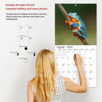 2026 Wall Calendar,Calendar 2026, November 2025 - December 2026, Wall Calendar Frog, 12" x 24" Opened,Full Page Months Thick & Sturdy Paper for Calendar Organizing & Planning