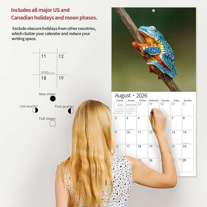 2026 Wall Calendar,Calendar 2026, November 2025 - December 2026, Wall Calendar Frog, 12" x 24" Opened,Full Page Months Thick & Sturdy Paper for Calendar Organizing & Planning