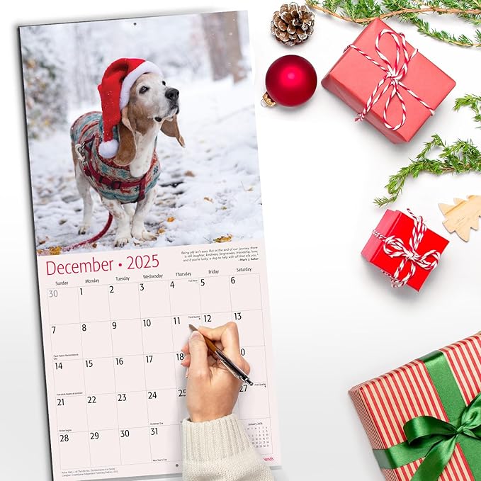 RED EMBER Basset Hounds 2025 Wall Calendar 12 Month | 12" x 24" Open | Thick & Sturdy Paper | Giftable | Dog Calendar 2025