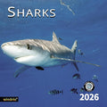 2026 Wall Calendar,Calendar 2026, November 2025 - December 2026, Wall Calendar Shark, 12" x 24" Opened,Full Page Months Thick & Sturdy Paper for Gift Perfect Calendar Organizing & Planning