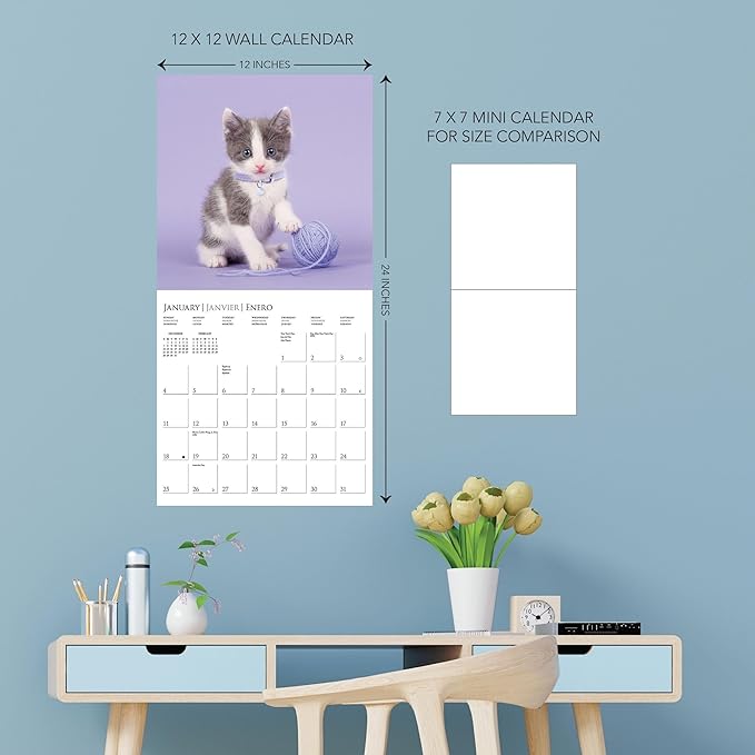 Graphique 2026 Cute Kittens Wall Calendar | 12” x 12” | Thick Paper | Home & Office Organizer | Large Monthly Grid | 3 Languages & Marked Holidays | 4 Month Preview Page for 2027