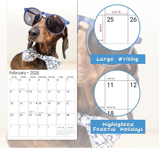 2026 Wall Calendar,Funny Calendar 2026, November 2025 - December 2026, Wall Calendar Funny Animal Memes, 12" x 24" Opened, Full Page 14 Months Thick Paper for Gift Calendar Organizing Planning