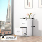 INTERGREAT 2 Drawer File Cabinet, White Metal Filing Cabinet with Lock, Lockable Vertical File Office Cabinet for Hanging Letters/Legal/A4, Assembly Required