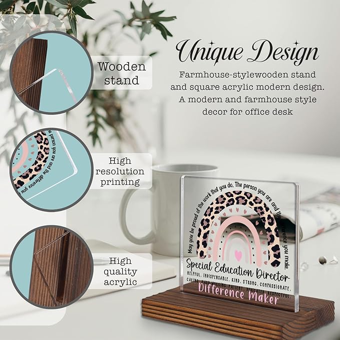 Special Education Director Gift Leopard Rainbow Desk Plaque, Inspirational Office Decor for SPED Leaders, Difference Maker Appreciation Sign PA081