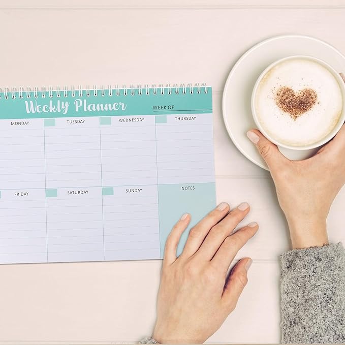 SEWACC Weekly Work Planner Notepad with Bookmark for Homeschool and Study Undated Daily Calendar and Efficient Plan Pad Portable Spiral-bound Appointment Organizer for Task and Goal