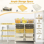 LDAILY 12 Drawer Rolling Storage Cart, Craft Cart Organizer on Wheels w/Metal Frame, Large Capacity & Smooth Drawer, Rolling Cart w/Drawers for Classroom, Office