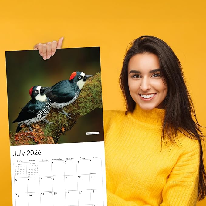 2026 Woodpecker Birds Hangable Wall Calendar Monthly Wood Pecker Wildlife Bird Photo Birder Watching Gift Nature Photography Secret Santa Office (2026 Woodpeckers)