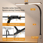 SIBRILLE LED Desk Lamp for Home Office - Dimmable Computer Desk Light with Clamp, Modern Architect Task Lamp with Color Changing, Flexible Desktop Lamp with Gooseneck for Monitor, Double Head, Black