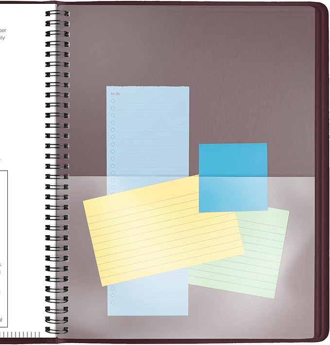 AT-A-GLANCE 2026 Appointment Book Planner, Weekly, 8-1/4" x 11", Large, Winestone (709505026)