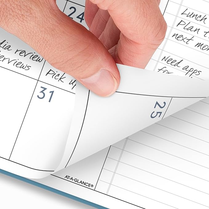 AT-A-GLANCE 2026 Planner, Monthly, 9" x 11", Large, Contemporary Lite, Sky Blue (7026XL3826)