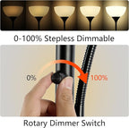 RISLG Floor Lamp, Dimmable Standing lamp, Stepless Dimming Brightness, Included 9W and 5W LED Bulbs, Industrial Floor Lamp for Living Room, Bedroom, Office, Reading