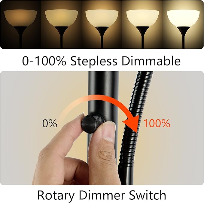 RISLG Floor Lamp, Dimmable Standing lamp, Stepless Dimming Brightness, Included 9W and 5W LED Bulbs, Industrial Floor Lamp for Living Room, Bedroom, Office, Reading
