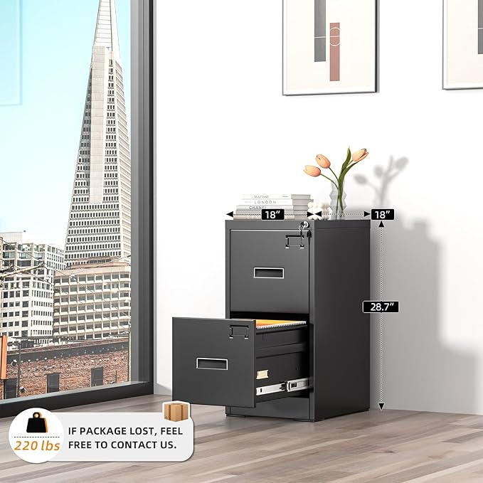 INTERGREAT 2 Drawer File Cabinet, Black Metal Filing Cabinet with Lock, Lockable Vertical File Office Cabinet for Hanging Letters/Legal/A4, Assembly Required