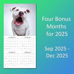 2026 Treat Time Monthly Wall Calendar | Funny Dogs Calendar September 2025 - December 2026