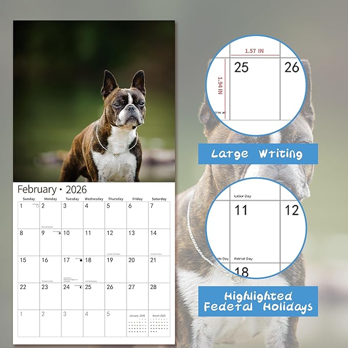 2026 Wall Calendar,Calendar 2026, November 2025 - December 2026, Wall Calendar Boston Terriers, 12" x 24" Opened,Full Page Months Thick & Sturdy Paper for Calendar Organizing & Planning