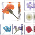 6Pcs Pressed Flower Paper Weights, Real Flower Resin Crafts, Pattern Weights, Paper Weights Decorative,Pressed Flower Ornament,Paper Weights for Office Desk,Specimen Collection for Science Educational