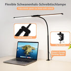 FAPEMIH Dual-Head LED Desk Lamp for Office Home, Adjustable Flexible Eye-Caring Desk Light, 5 Modes 10 Brightness Adjustment, USB Adapter Desk Lamp with Clamp-ST-B