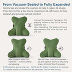 Ailuteie Lumbar Support Pillow(Pat. Pend) for Lower Back Pain Relief – Multi-Functional Ergonomic Lumbar Cushion, Reading Pillow for Office Chair, Car Seat & Sofa,Olive Green