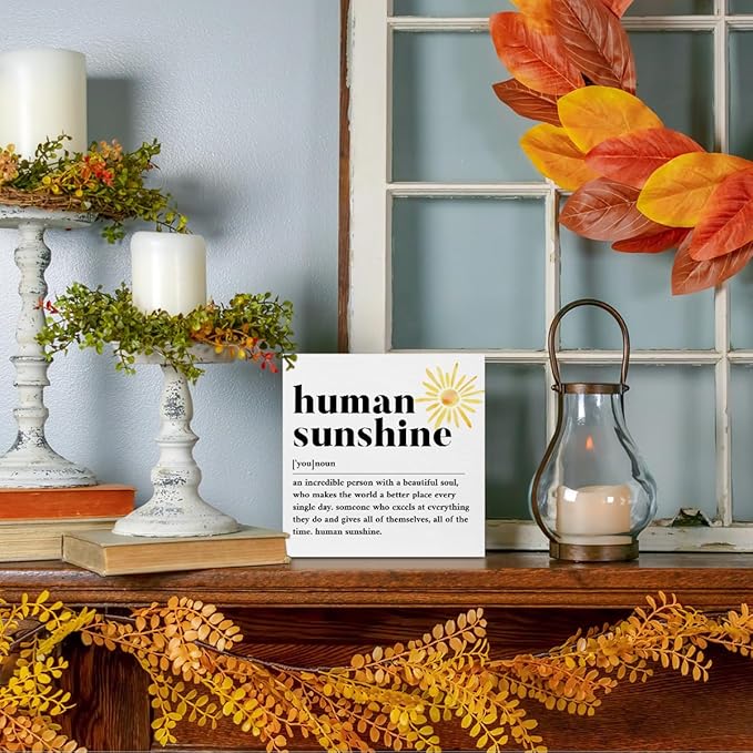 Sunshine Gifts for Women, Inspirational Gifts Human Sunshine Wood Box Sign, Thank You Gifts Appreciation Gifts for Teacher Friends Coworkers Nurse Christmas, Office Home Desk Cubicle Table Shelf Decor