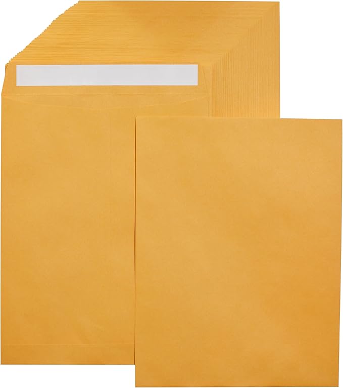 Amazon Basics Catalog Mailing Envelopes, Peel and Seal, 10x13 Inch, Brown Kraft, 250-Pack