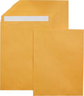 Amazon Basics Catalog Mailing Envelopes, Peel and Seal, 10x13 Inch, Brown Kraft, 250-Pack