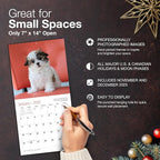 MICASA PRESS Shih Tzu Puppies 2026 Mini Wall Calendar 12 Month | 7" x 14" Open | Thick & Sturdy Paper | Holiday Gift | Cute Puppy Dog Calendar 2026